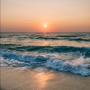 Meet your Posher, Lily